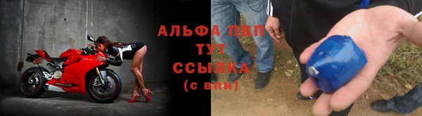 прущие крисы Белокуриха