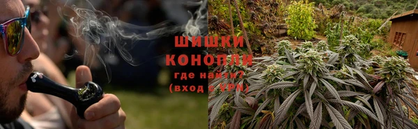 прущие крисы Белокуриха