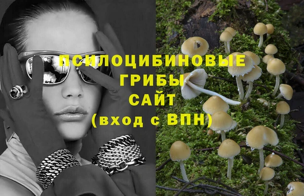 прущие крисы Белокуриха