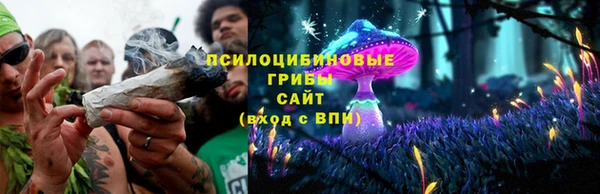 прущие крисы Белокуриха